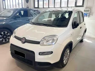 Usata Fiat Panda S 69 CV (50 kW) 2023 Bianco Utilitaria