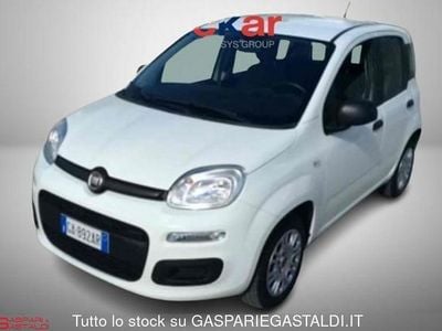Bianco Usata 2020 Fiat Panda Easy Utilitaria | 9900 € (Buon prezzo)