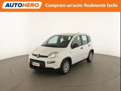Usata Fiat Panda S 70 CV (51 kW) 2023 Bianco Utilitaria