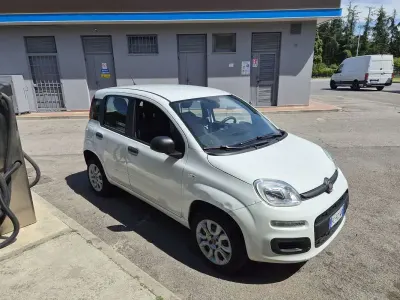 Usata Fiat Panda Easy 85 CV (62 kW) 2018 Bianco Utilitaria