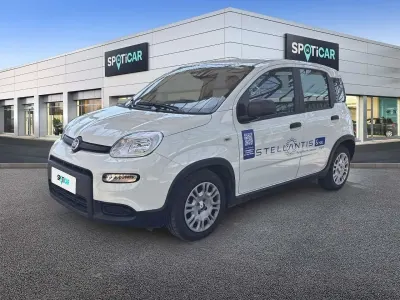 Usata Fiat Panda S 69 CV (50 kW) 2024 Bianco Utilitaria