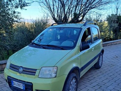 usata Fiat Panda 4x4 Panda 1.2 4x4 Climbing