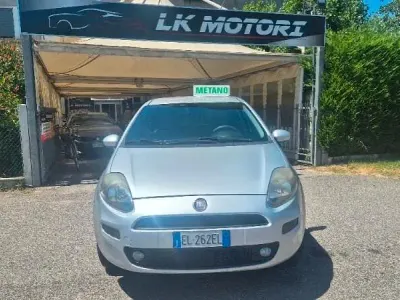 Usata Fiat Punto Evo