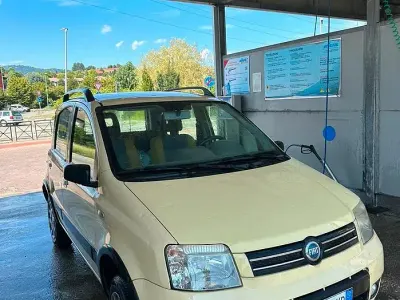 Usata Fiat Panda 4x4