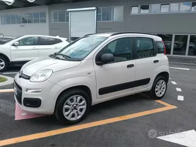 Usata Fiat Panda Easy 80 CV (58 kW) 2014 Beige Utilitaria