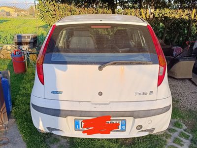 usata Fiat Punto a GPL