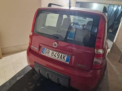 Usata Fiat Panda Climbing 60 CV (44 kW) 2008 Rosso Utilitaria