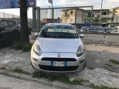 Usata Fiat Punto Evo Active 77 CV (56 kW) 2012 Other Utilitaria