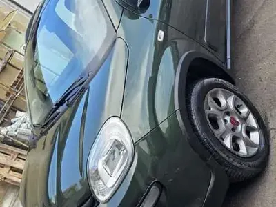 Usata Fiat Panda 4x4 75 CV (55 kW) 2014 Verde Utilitaria