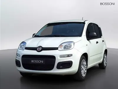 Nuova Fiat Panda Icon 65 CV (47 kW) 2026 Bianco Utilitaria