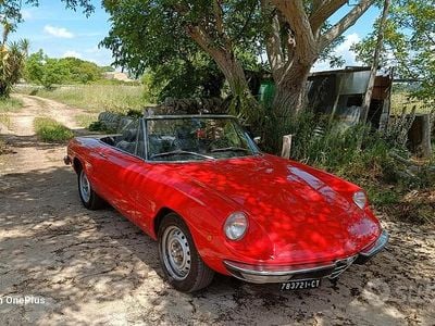 Usata Alfa Romeo Spider 1970 Rosso Cabrio