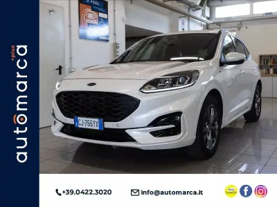 Usata Ford Kuga ST-Line 190 CV (139 kW) 2022 Bianco SUV