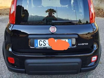 Usado Fiat Panda S 69 HP (50 kW) 2024 Citadino