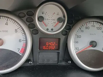 Usata Peugeot 206