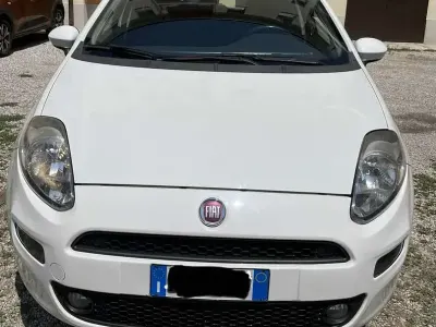 Usata Fiat Punto Evo Pop 77 CV (56 kW) 2012 Bianco Utilitaria
