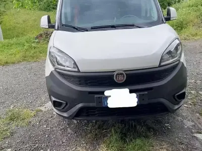 Usata Fiat Doblò 120 CV (88 kW) 2019 Monovolume