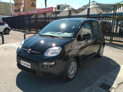 usata Fiat Panda 1.0 70CV FireFly S&S Hybrid