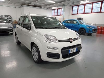 Usata Fiat Panda S 70 CV (51 kW) 2024 Giallo sole (pastello) Utilitaria