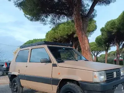 Usata Fiat Panda 4x4 54 CV (39 kW) 2000 Verde Utilitaria