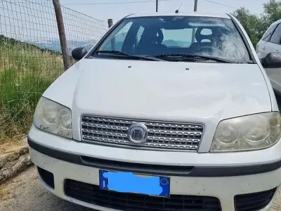 Usata Fiat Punto Active 60 CV (44 kW) 2010 Utilitaria
