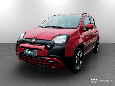 Usata Fiat Panda Cross Cross 70 CV (51 kW) 2024 Rosso passione Utilitaria