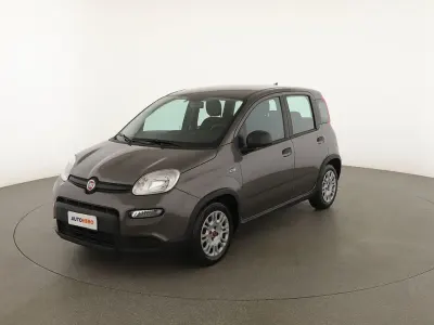 Usata Fiat Panda 69 CV (50 kW) 2023 Grigio Utilitaria