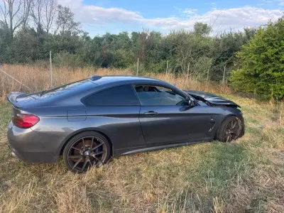 Usata BMW 420 Coupé 190 CV (139 kW) 2017 Marrone Coupé