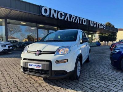 Usata Fiat Panda S 69 CV (50 kW) 2024 Bianco Utilitaria