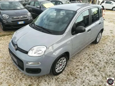 Usata Fiat Panda S 69 CV (50 kW) 2021 Grigio chiaro Utilitaria