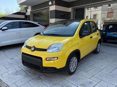 Usata Fiat Panda City Life 69 CV (50 kW) 2024 Giallo Utilitaria