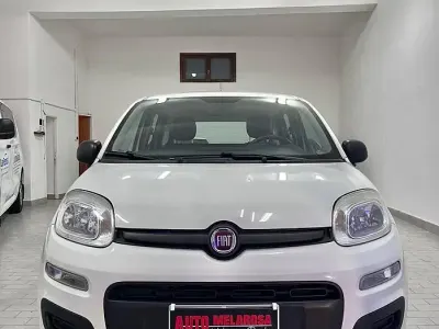 Usata Fiat Panda Easy 69 CV (50 kW) 2019 Bianco Utilitaria