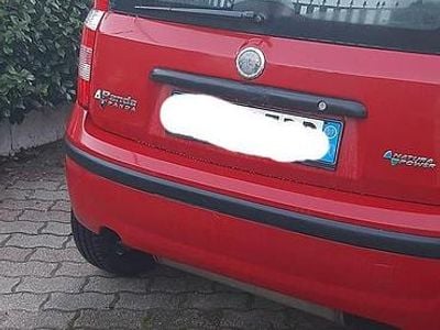 Usata Fiat Panda
