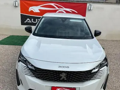 Usata Peugeot 3008