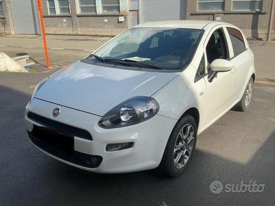 Usata Fiat Punto Lounge 69 CV (50 kW) 2017 Bianco Utilitaria