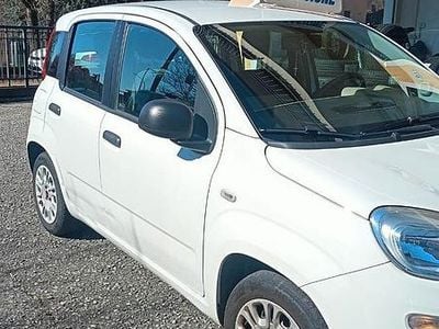 Usata Fiat Panda Lounge 69 CV (50 kW) 2016 Bianco Utilitaria