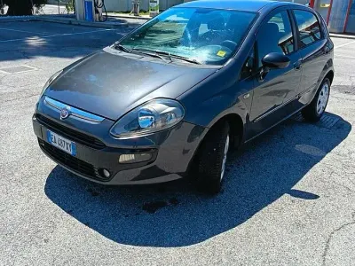 Usata Fiat Punto Evo Active 70 CV (51 kW) 2011 Grigio Utilitaria