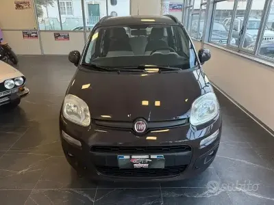 Usata Fiat Panda Lounge 75 CV (55 kW) 2013 Marrone Utilitaria