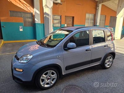 Usata Fiat Panda City Life 71 CV (52 kW) 2022 Grigio chiaro Utilitaria