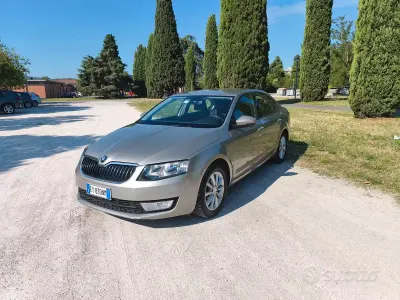 Usata Skoda Octavia