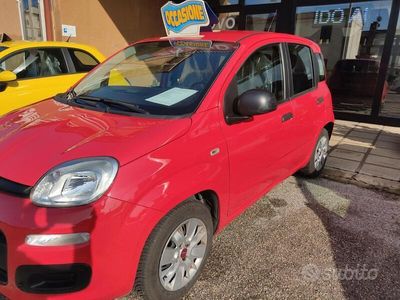 usata Fiat Panda EASY 1.2 cc benz. Euro 6 x Neopatentati