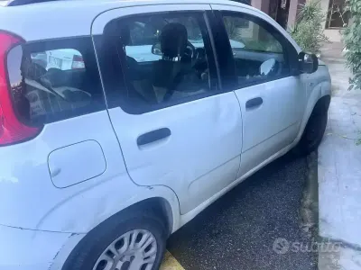 Usata Fiat Panda
