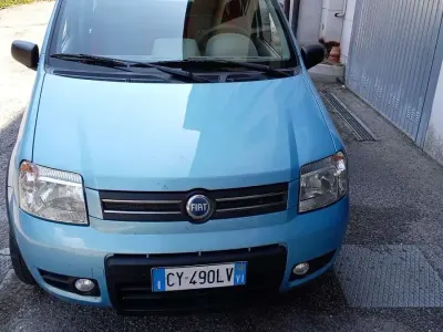 Usata Fiat Panda Active 61 CV (44 kW) 2005 Utilitaria