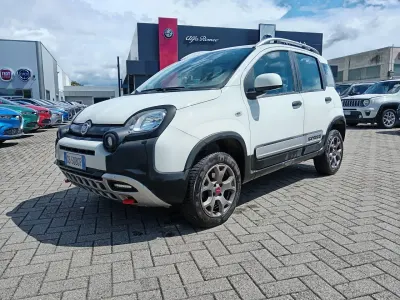 Usata Fiat Panda 4x4 S 85 CV (62 kW) 2020 Bianco Utilitaria
