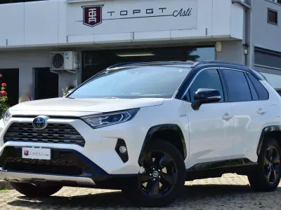 Usata Toyota RAV4 Hybrid Style 218 CV (160 kW) 2019 SUV