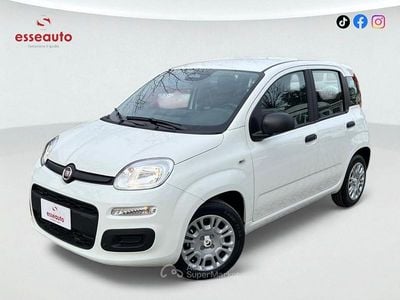 Usata Fiat Panda