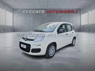 Nuova Fiat Panda Icon 65 CV (47 kW) 2026 Bianco Utilitaria