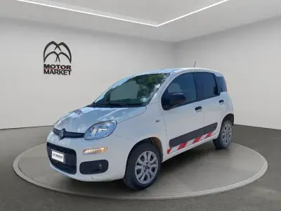 Usata Fiat Panda 4x4