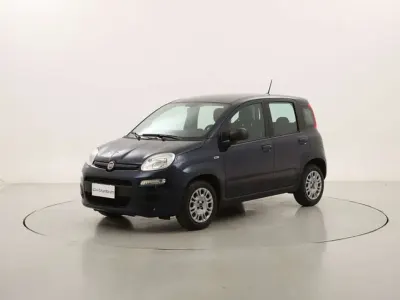 Usata Fiat Panda