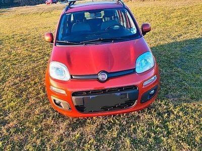 Usata Fiat Panda Easy 69 CV (50 kW) 2015 Rosso Utilitaria