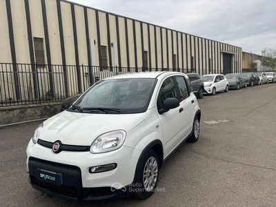 Usata Fiat Panda S 69 CV (50 kW) 2024 Bianco Utilitaria